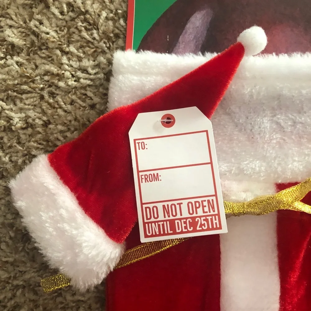 FREE with any wine item from my closet Christmas Santa Wine Bag w/ Santa hat